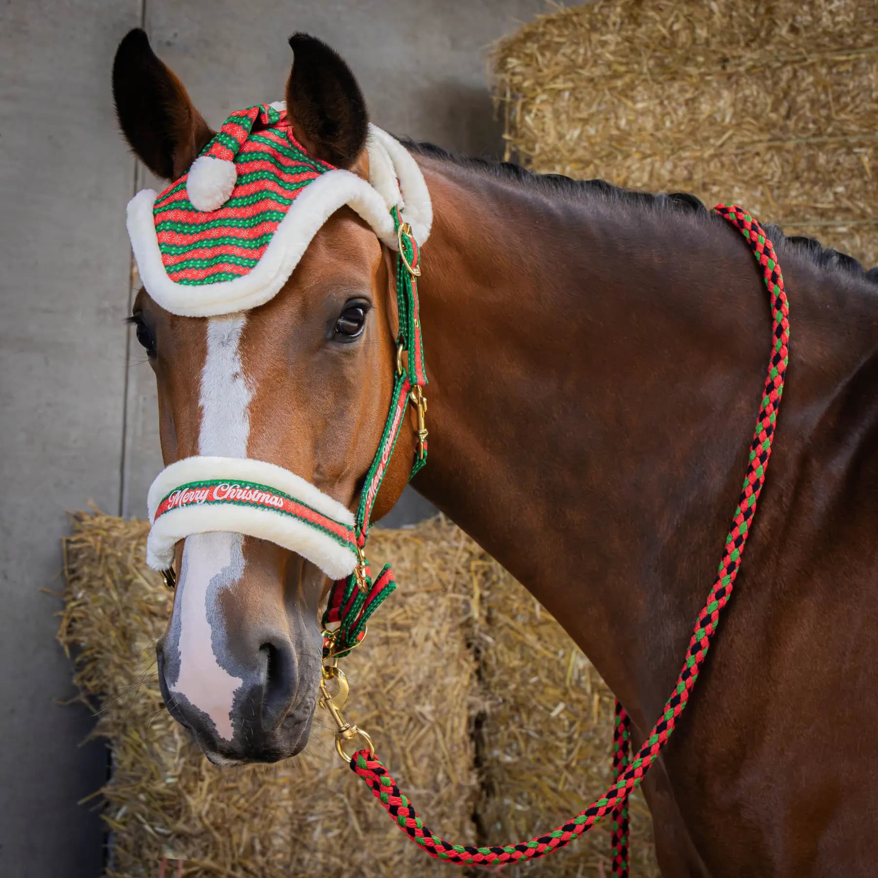 Sattelzeugset mit Halfter, Longe und Kopfstück für Pferde Harry's Horse Christmas