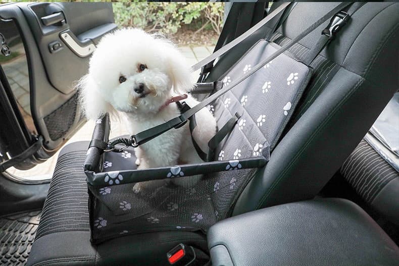Ergonomische Transportbox für Hunde und Katzen