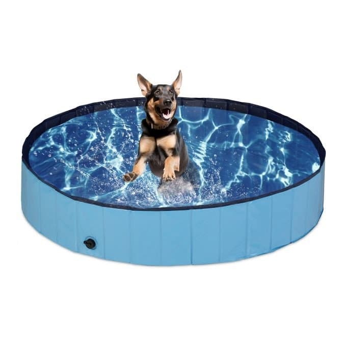 Piscina per cani 160x30 cm