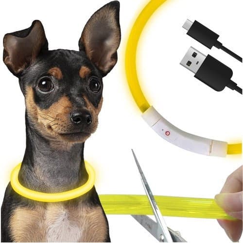 Collier lumineux LED - réglable Purlov 24200
