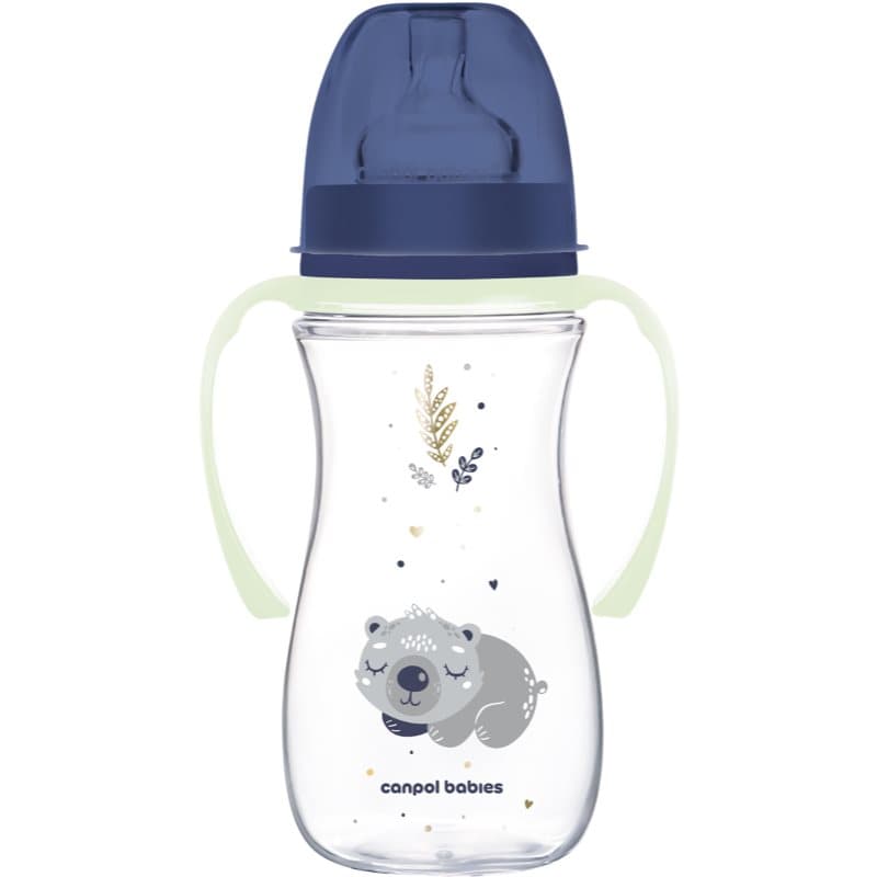 Canpol babies EasyStart Sleepy Koala 300 ml Babyflasche 12 m+ Blue 1 St.