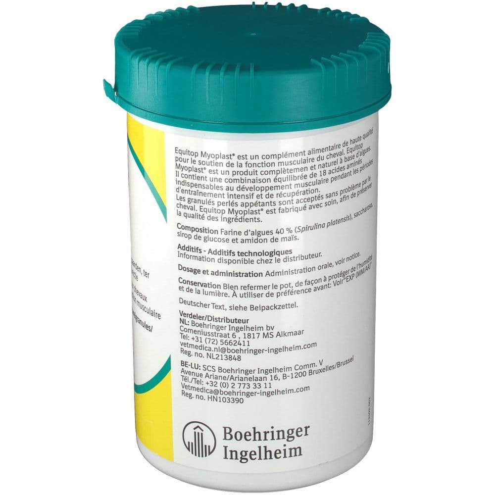 Equitop Myoplast® view 2