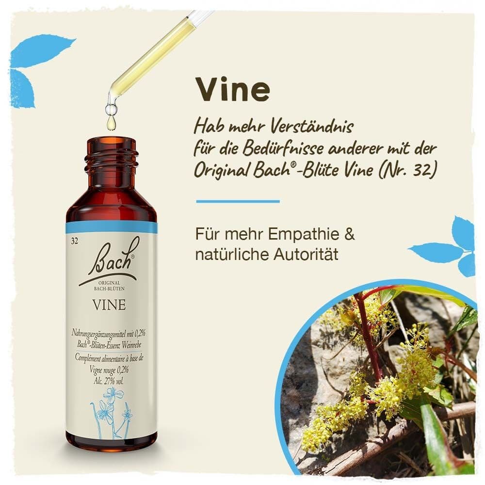 Bach®-Blüte Vine (Weinrebe) view 2