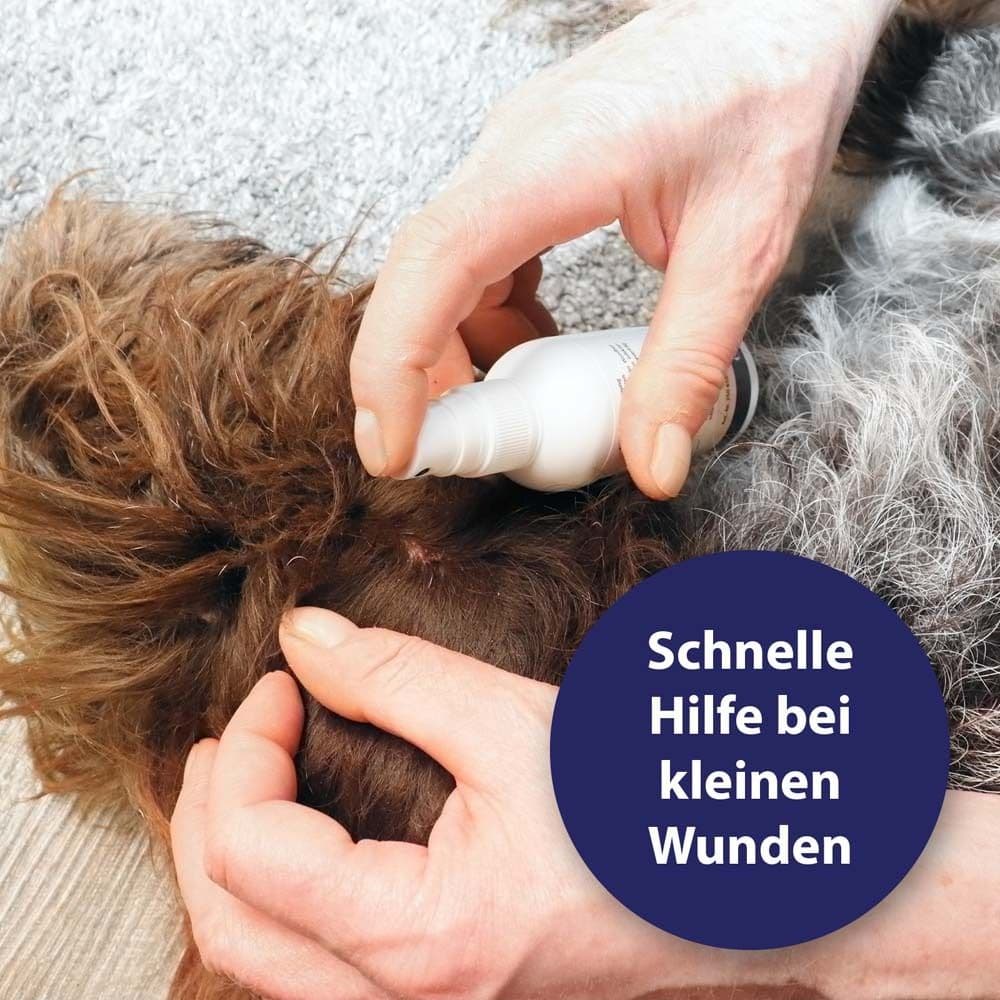 Canosept® Wundspray für Hunde 75 ml view 2