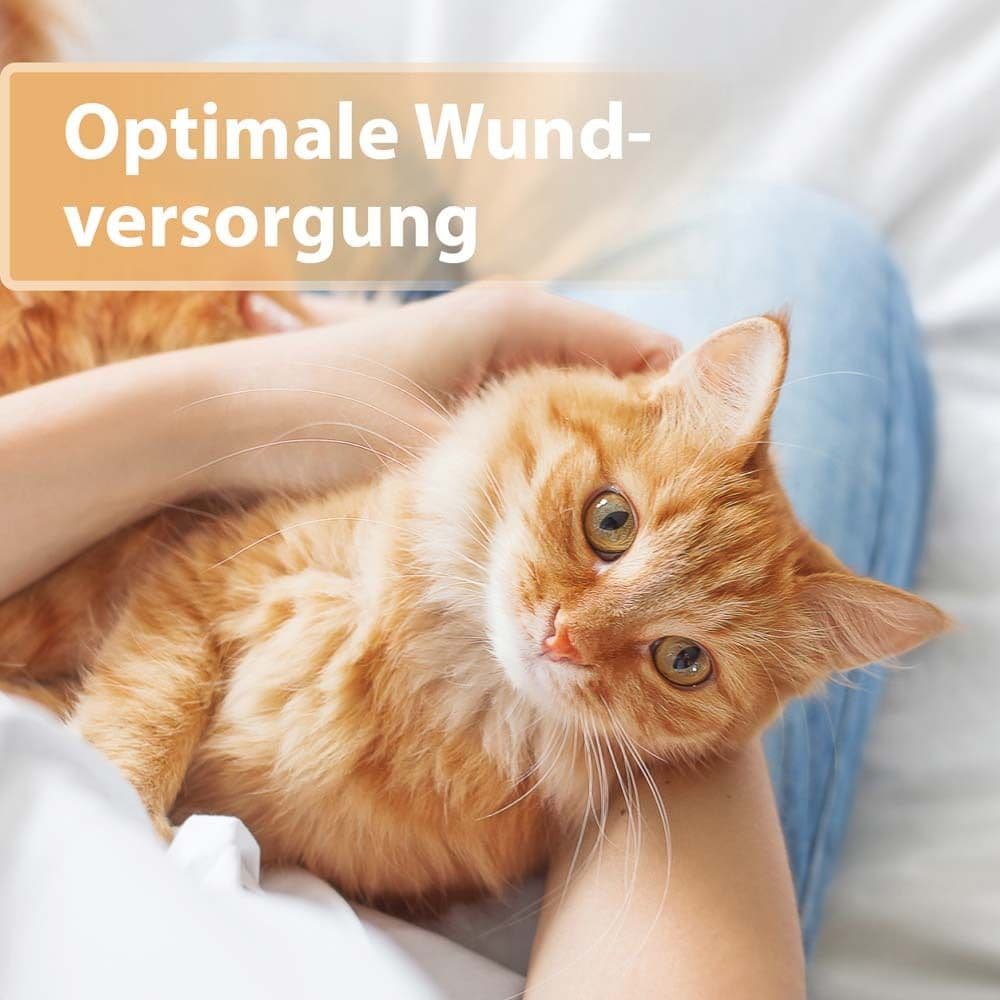 Felisept® Wundgel für Katzen view 2