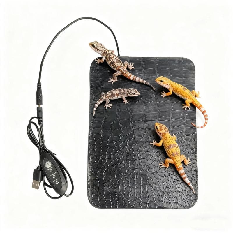 Reptilien Heizmatte Wasserdicht Schildkröte Eidechse Temperatureinstellung Heizmatte Kratzfest Reptilien Heizkissen Reptilien Haustierbedarf