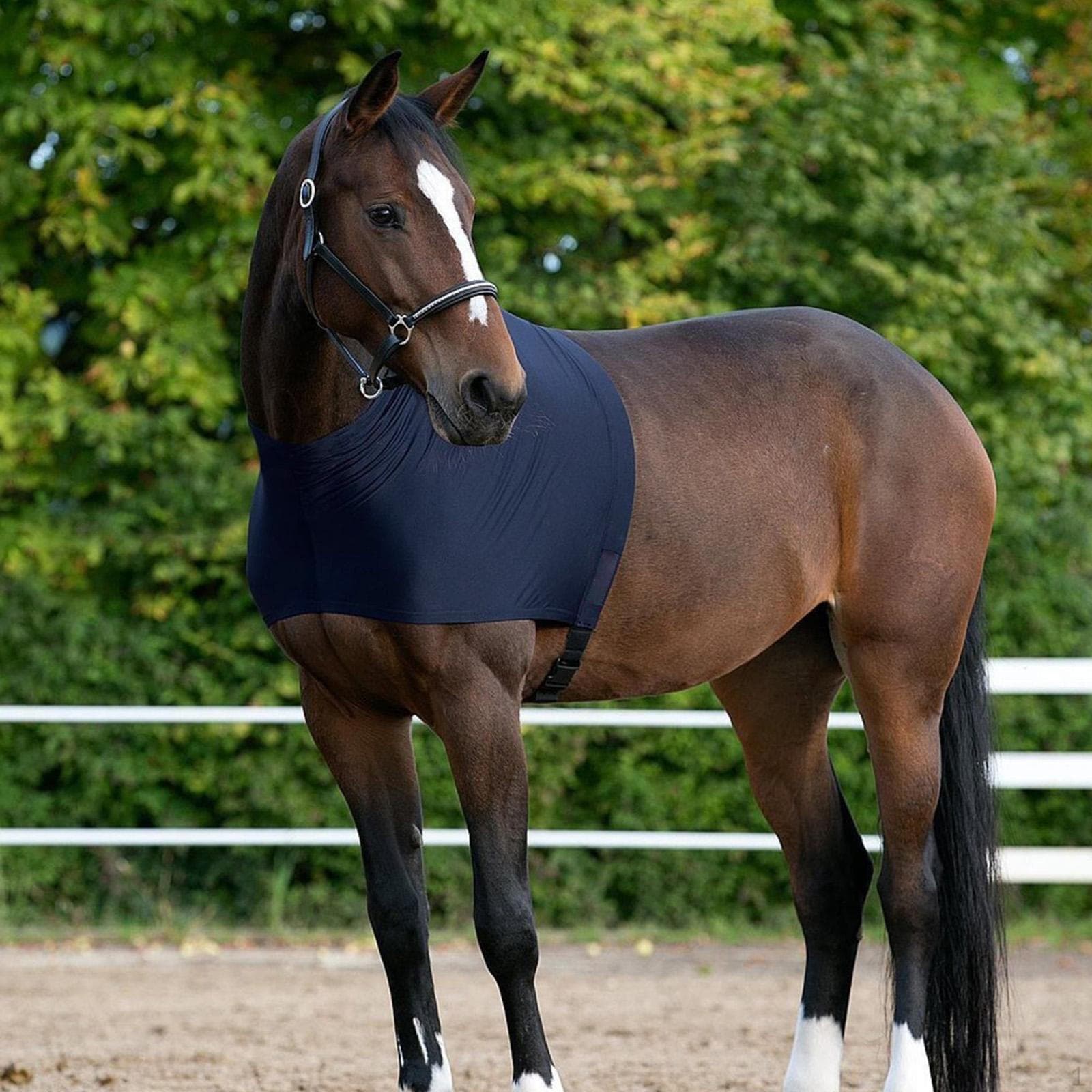 Schulterschutz für Pferde, dehnbare Spandex-Weste für Komfort und Sicherheit