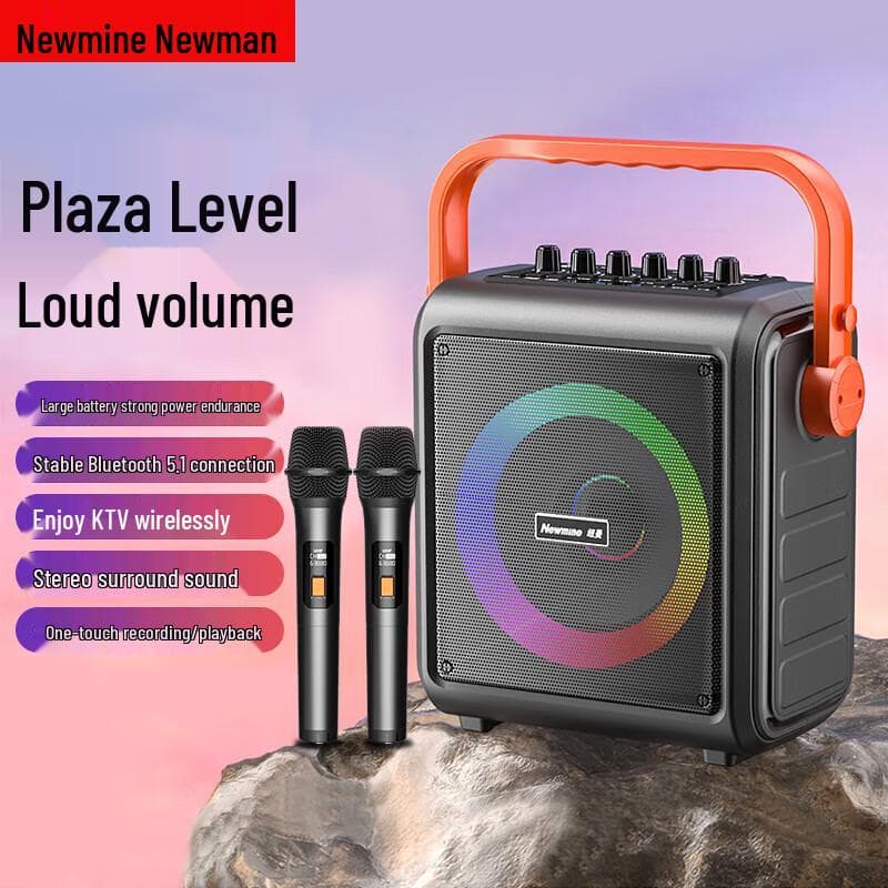 Haut-parleur Karaoké Portable Sans Fil Newman K509