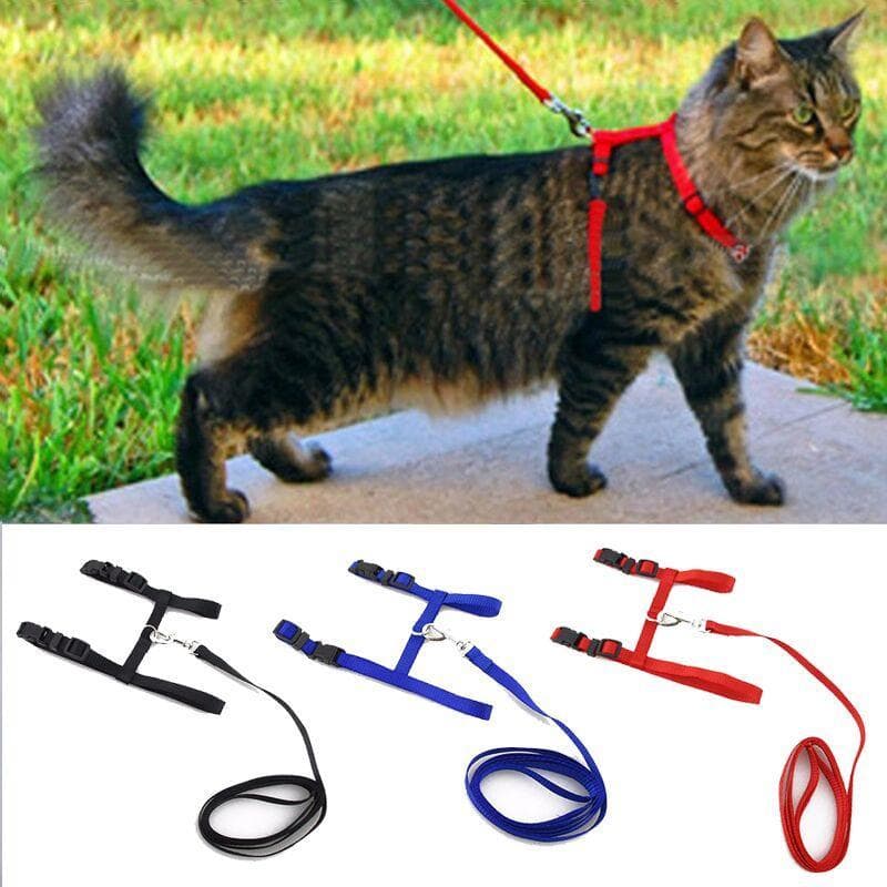 Verstellbarer Haustier-Traktionsgürtel, Katzenhalter, kleines Haustier-Hundegeschirr und Leine-Halsband blau