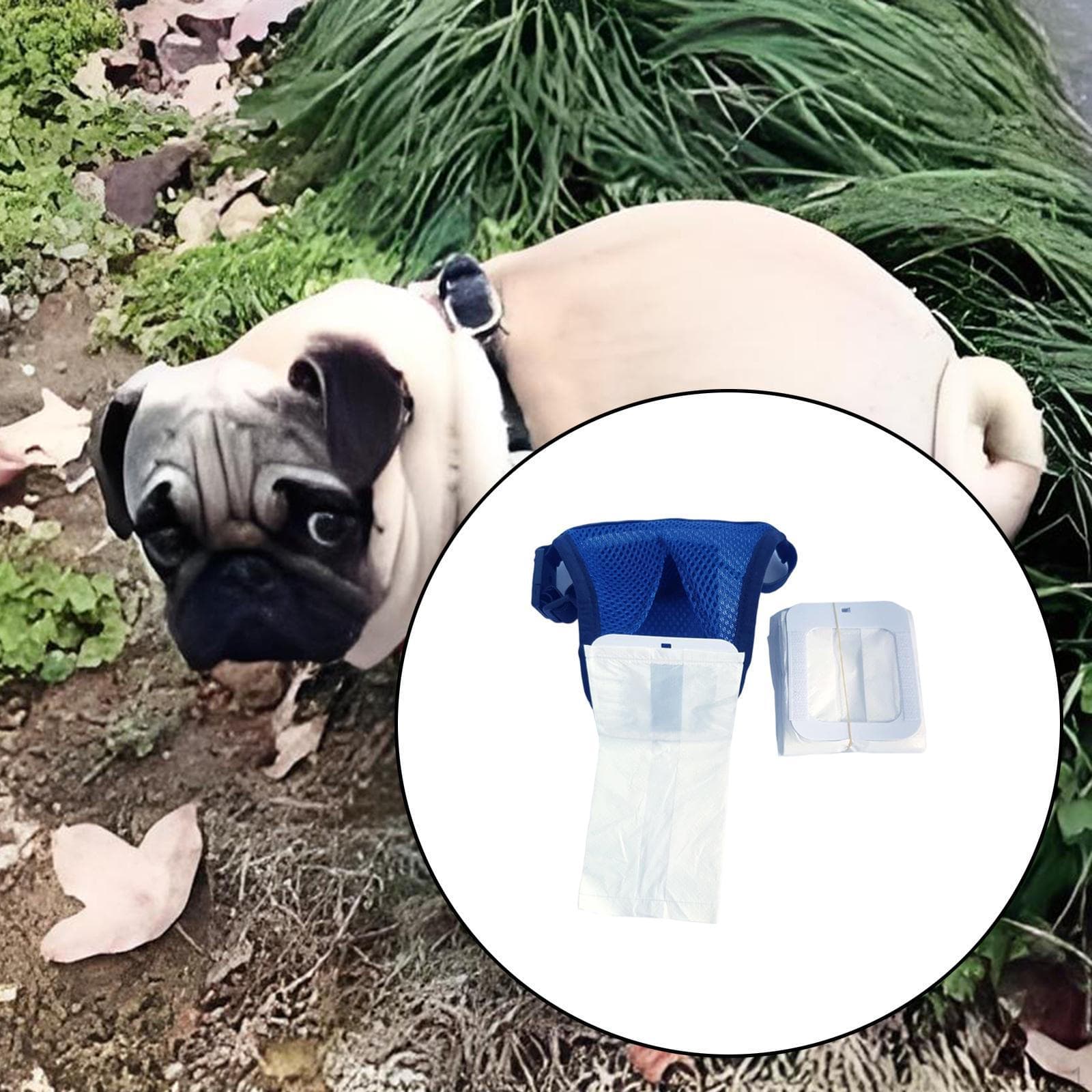 Kotbeutel für Hundeabfall mit 10 Beuteln Geeignet für ältere Hunde