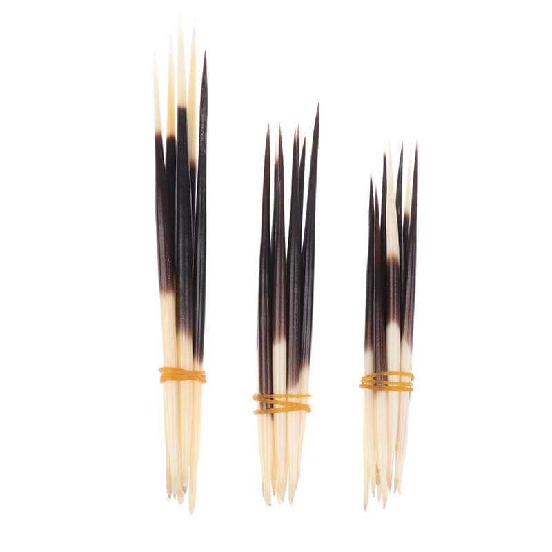Stachelschweinstacheln Haarstab Indisches Handwerk Zubehör Angelpose DIY Natürlicher Knochenschmuck Haarnadel Zubehör