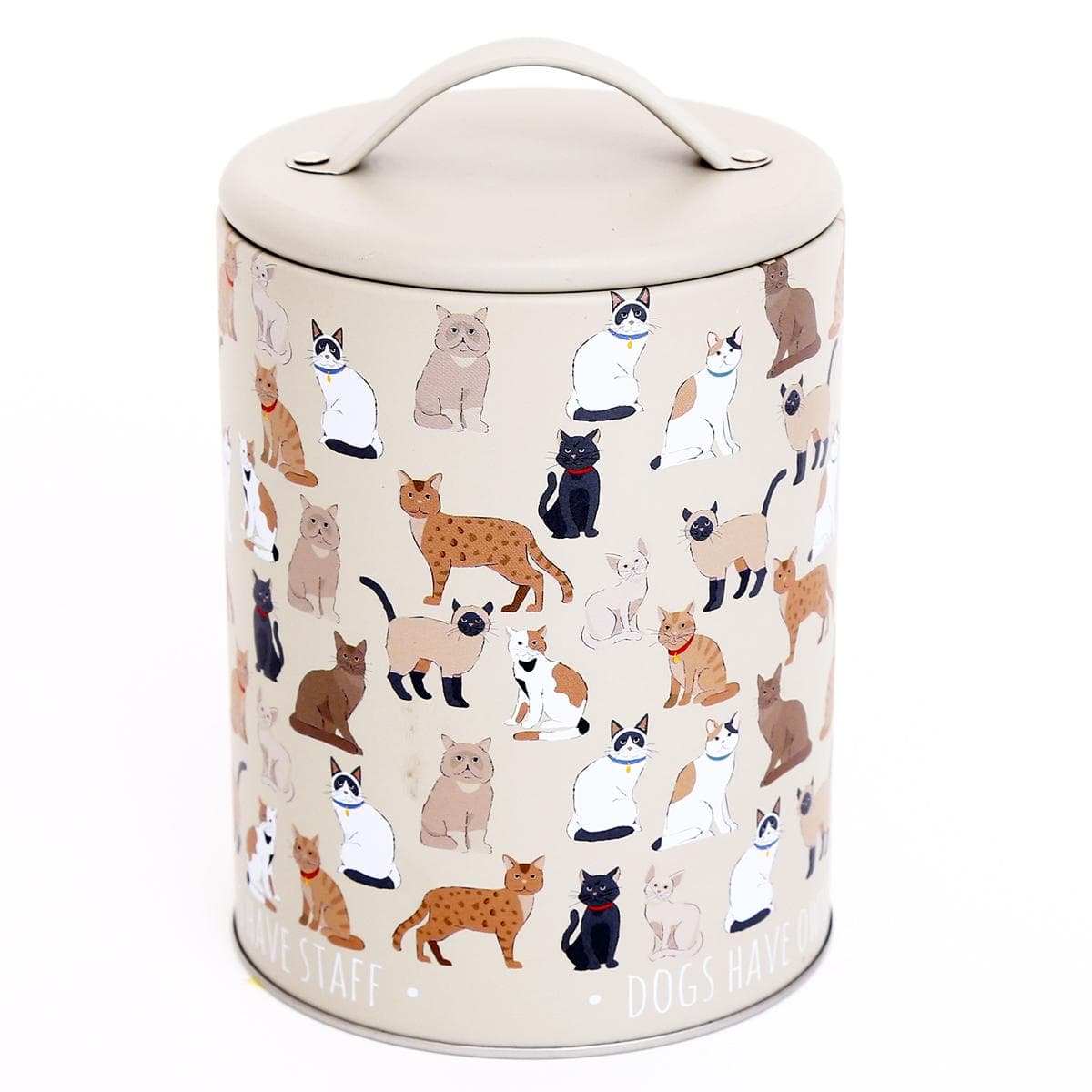 Les Trésors De Lily [A3086] – Graue Metallbox im „Cats“-Design – 165 x 110 mm grau