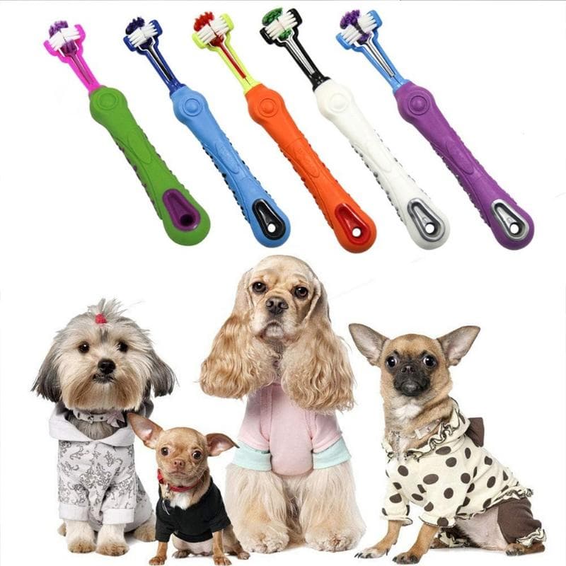 1PC Multi-winkel Haustier Reinigung Zahnbürste Hund Zusätzlich Mundgeruch Zahnpflege Hund Reinigungsmittel weiß