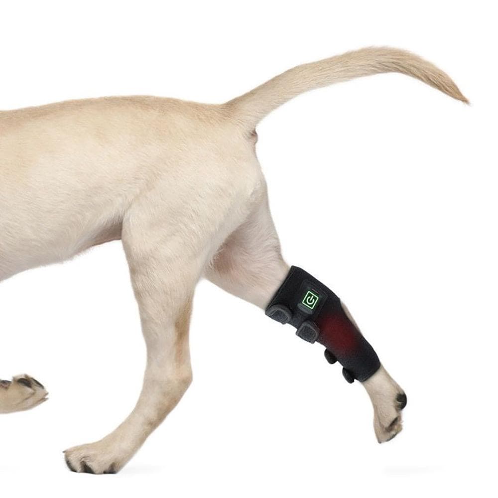 Hunde-Infrarot-Rotlichttherapie-Bein-Stiefelbandage mit eingebautem Akku und medizinischen LEDs