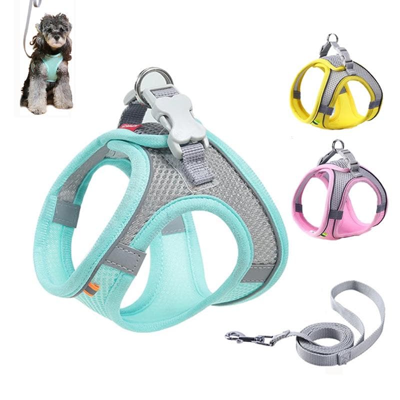 Hundegeschirr für kleine Hunde und Katzen, reflektierendes Haustiergeschirr und Leine-Set, verstellbar, atmungsaktiv, Brustweste, Leine,