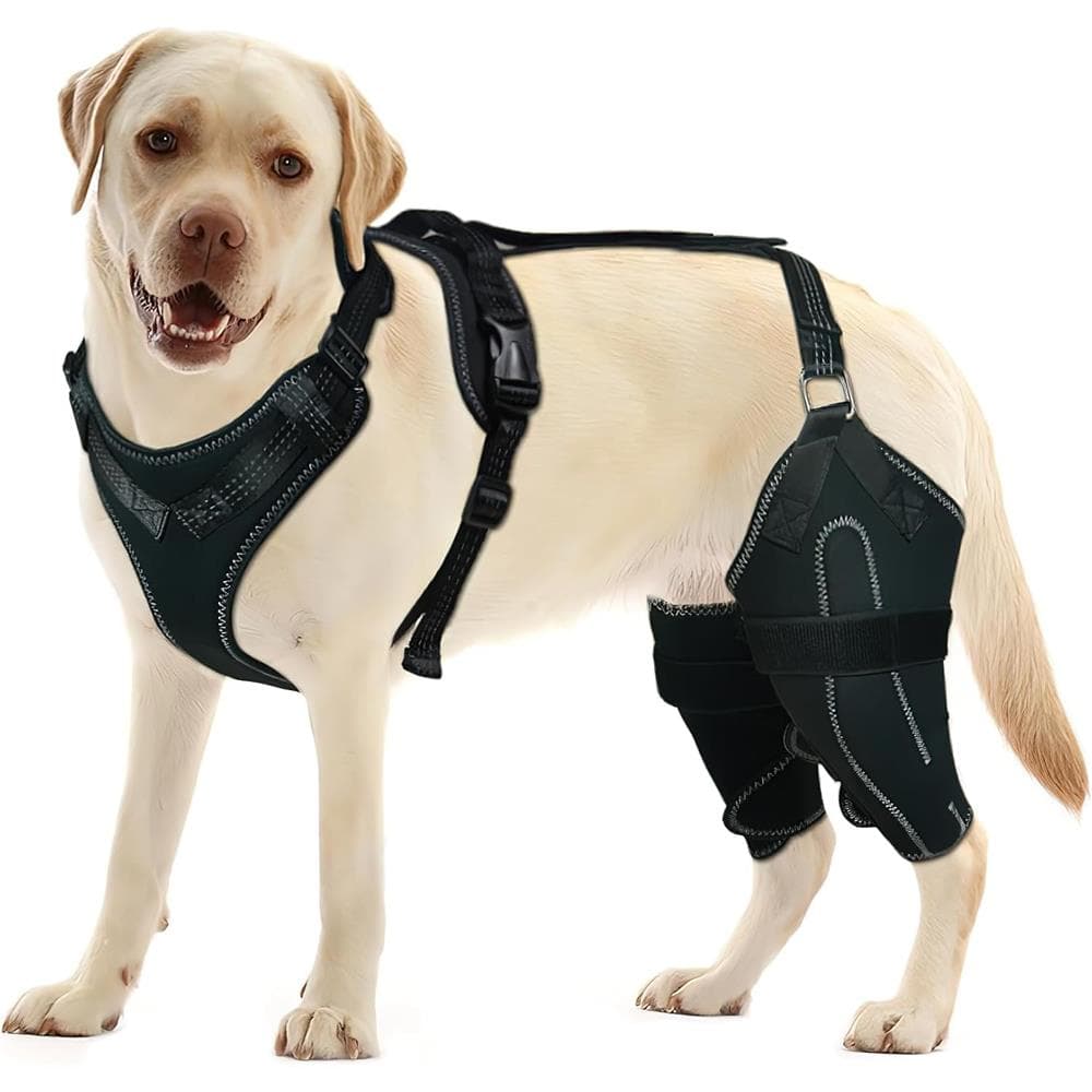 Knie-Rehabilitationsorthese für Hunde, Kreuzbandage, Fixiergurt für Beinrisse, Linderung von Gelenkschmerzen schwarz