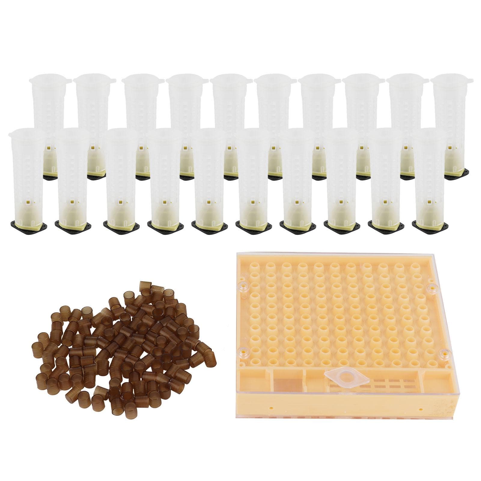 Boîte d'élevage de reine Cage Plastique Kit d'alvéoles d'élevage Équipements Apicoles Fournitures