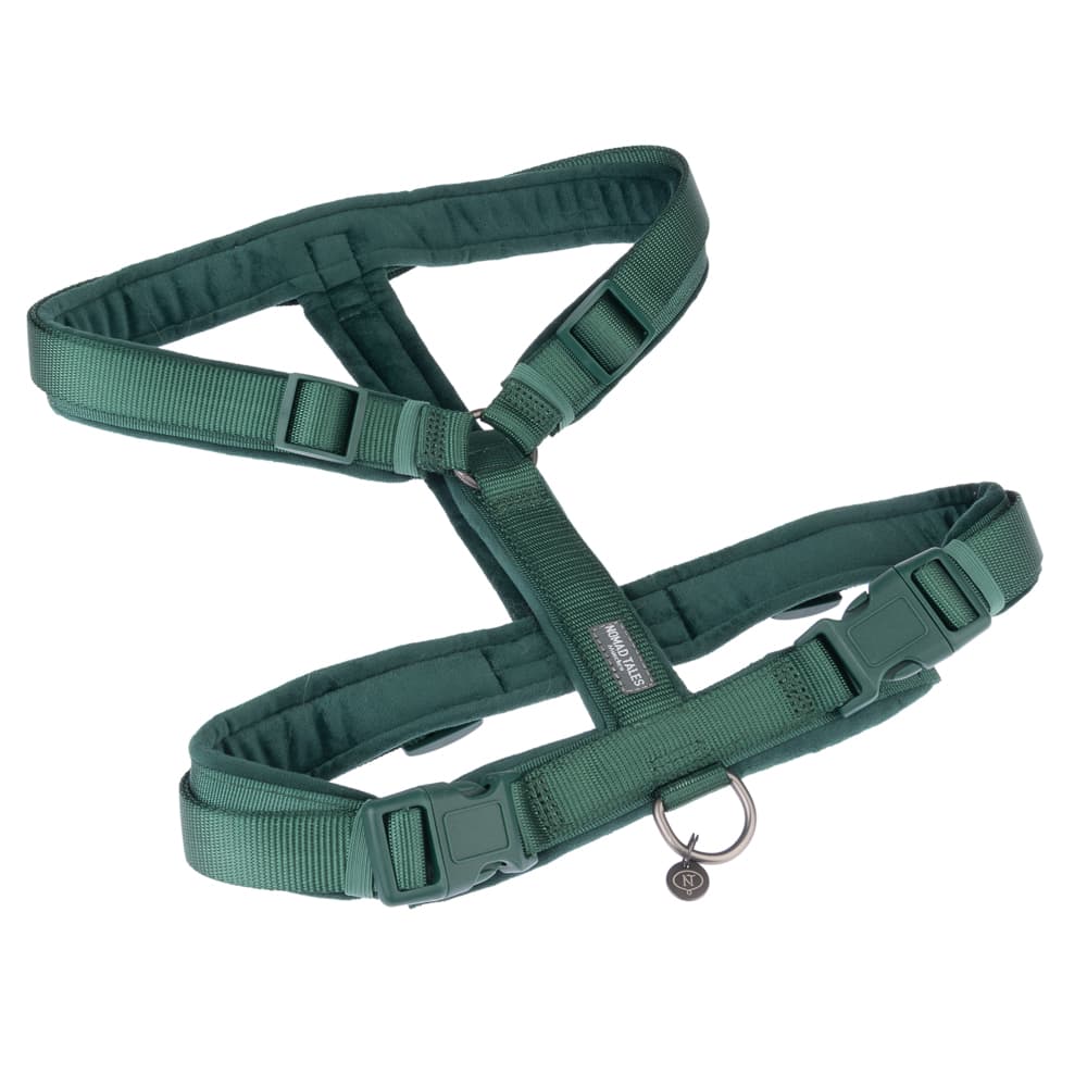 Nomad Tales Blush Geschirr, emerald - Grösse S: 37 - 53 cm Brustumfang, B 15 mm