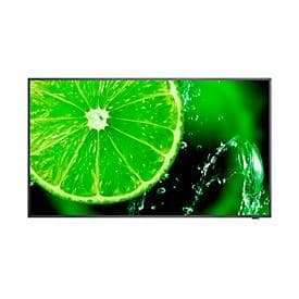 NEC Essential Large Format Display MultiSync E438, LCD 43", 4K UHD mit 3840 x 2160 px, IPS-Panel