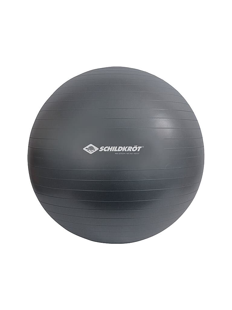 SCHILDKRÖT Gymnastikball 75cm grau
