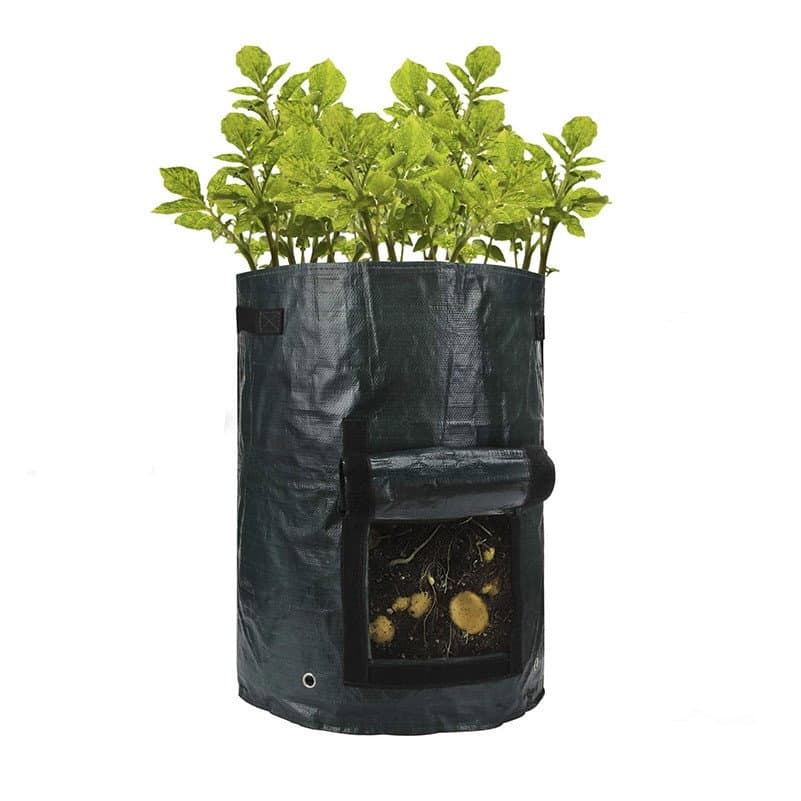 Gro-Sack – Bauen Sie Bio-Lebensmittel auf Ihrem Balkon an