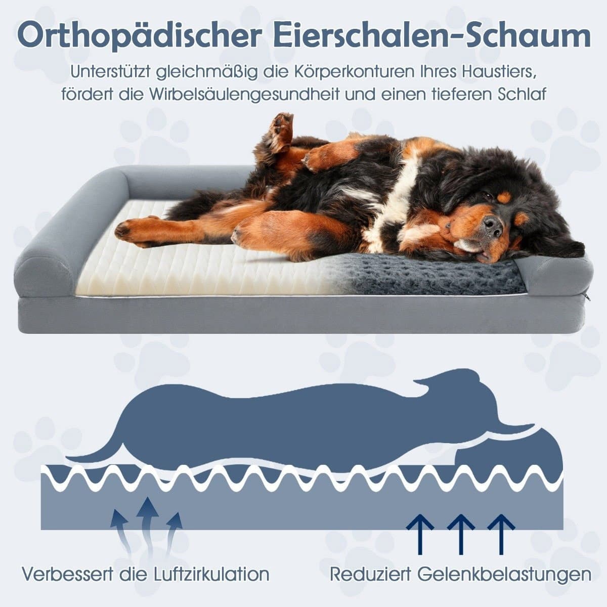 Orthopädisches Hundebett XXL – Gelenkstützend, Wasserdicht, Rutschfest