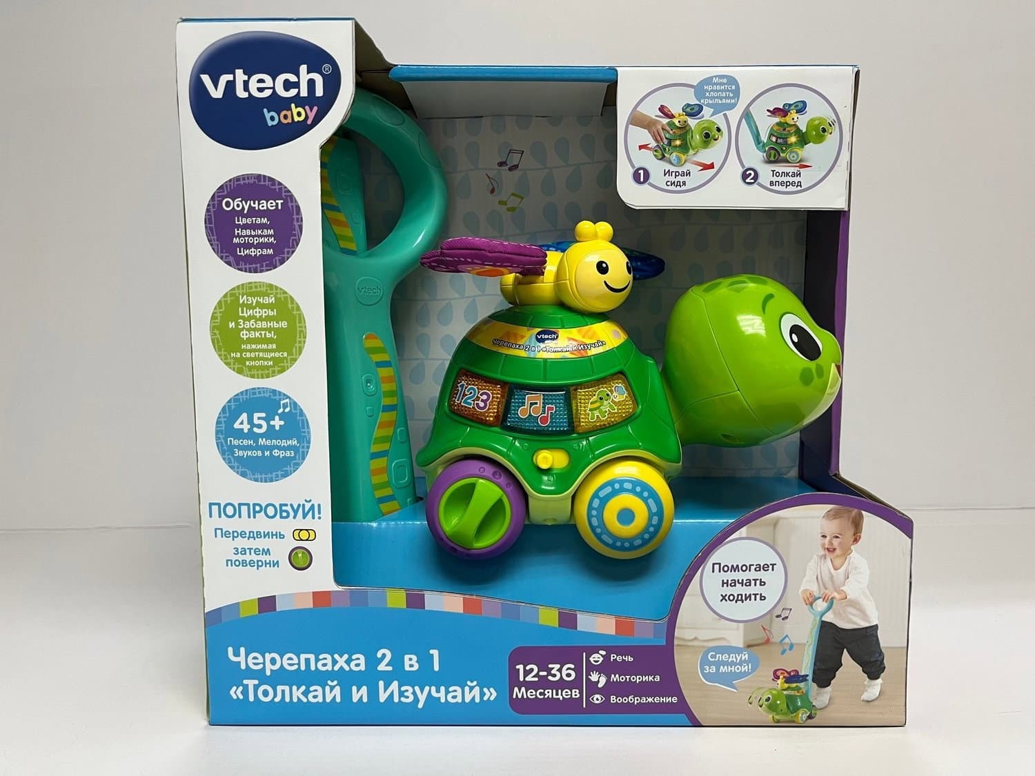 Jouet interactif 2 en 1 pour enfants : la tortue à pousser et à découvrir