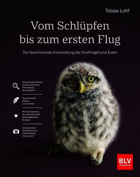 Vom Schlüpfen bis zum ersten Flug