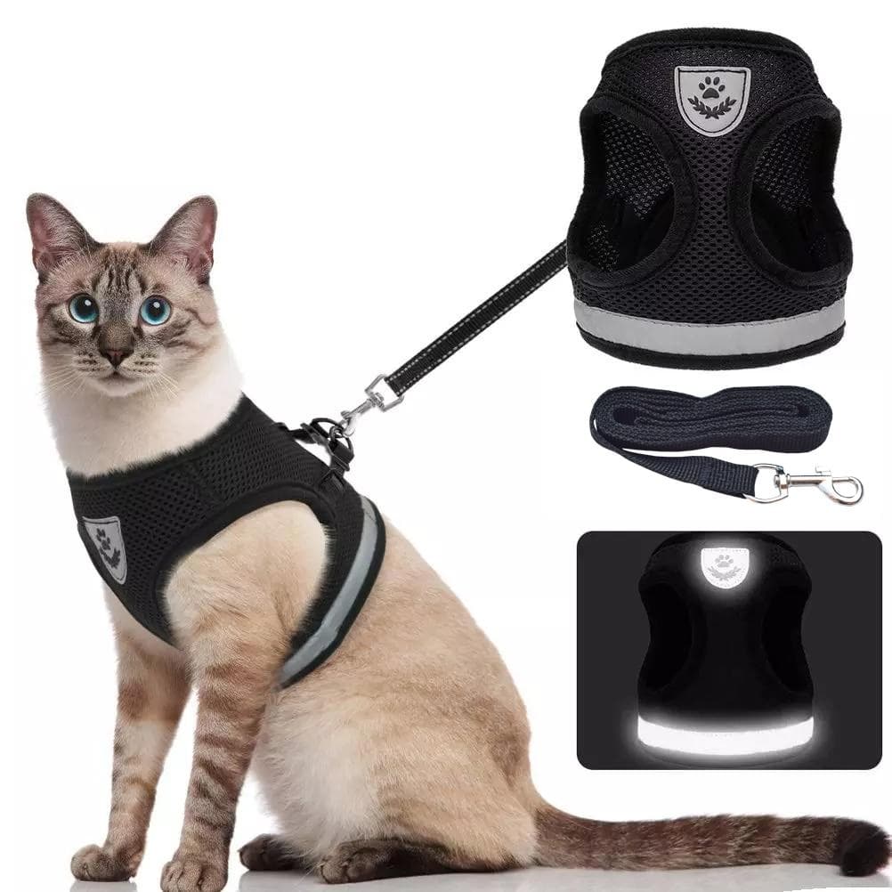 Atmungsaktives Katzengeschirr und Leine, ausbruchsicher, Haustierkleidung, Kätzchen, Welpen, Hunde, Weste, verstellbar, einfache Kontrolle,