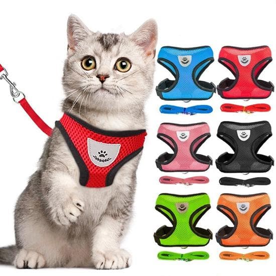 S-XL Haustierleine Katze und Hund Seilweste Typ Mesh Atmungsaktives Haustiergeschirr orange