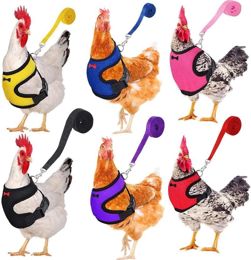 Verstellbare Hühnergeschirr-Leine, bequem und atmungsaktiv, kleine Henne-Haustierweste für Huhn, Ente, Gans, Training, Gehen, 60 cm rosa