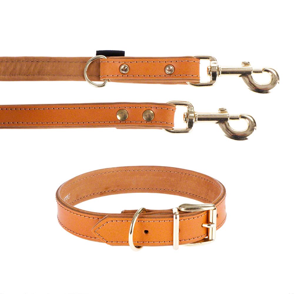 Heim Set: Lederhalsband & Vorführleine Buffalo, cognac - Halsband Grösse 55 + Leine 200 cm