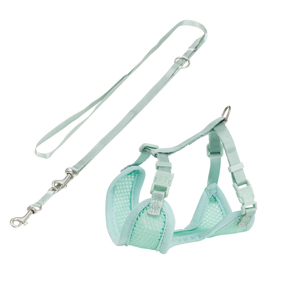 Trixie Junior Welpen-Softgeschirr mit Leine - 26-34 cm/10 mm, 200 cm, mint